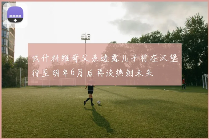 武什科维奇父亲透露儿子将在汉堡待至明年6月后再谈热刺未来