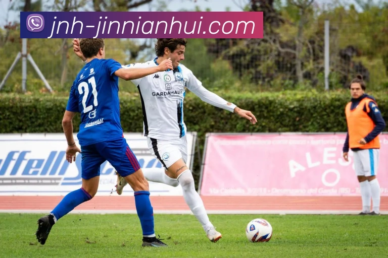 今年会官网品牌故事